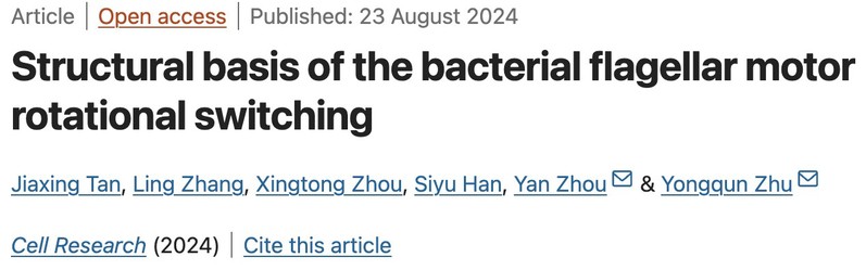朱永群课题组在Cell Research上发文揭示病原菌鞭毛马达旋转方向转换的分子机制