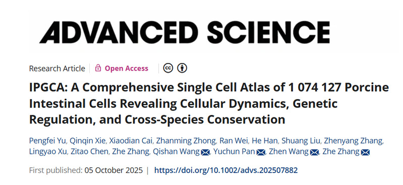 潘玉春/张哲课题组在《Advanced Science》杂志发表论文——猪肠道百万单细胞整合图谱助力猪复杂性状遗传机制解析