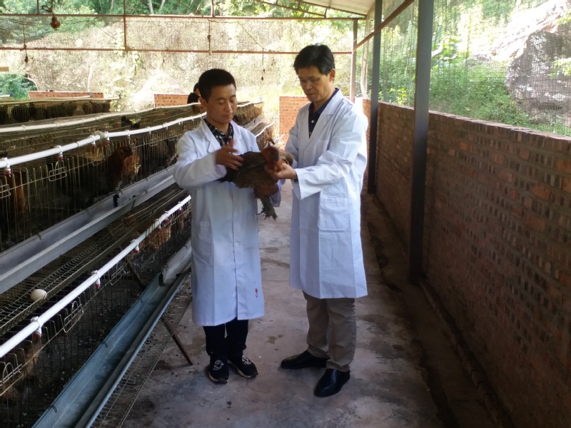 祝贺我院尹兆正老师产业扶贫项目获评教育部直属高校精准扶贫精准脱贫十大典型项目