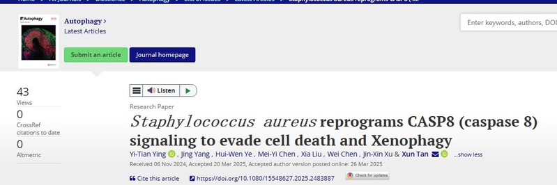 谭勋课题组在《Autophagy》发文揭秘金葡菌重编程CASP8信号逃避宿主免疫杀伤的感染新机制