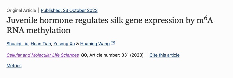 王华兵课题组在Cellular and Molecular Life Sciences发文阐明了mRNA中m6A修饰调控蚕丝合成的重要机理