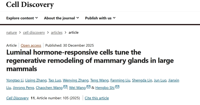 石恒波课题组在《Cell Discovery》发文揭示奶畜乳腺再生性重构的关键机制