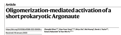 动科学院院友沈张飞博士等近期在《Nature》发文揭示细菌短Ago蛋白活化的分子机理