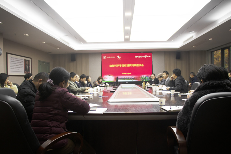 学院召开有组织科研专题座谈会