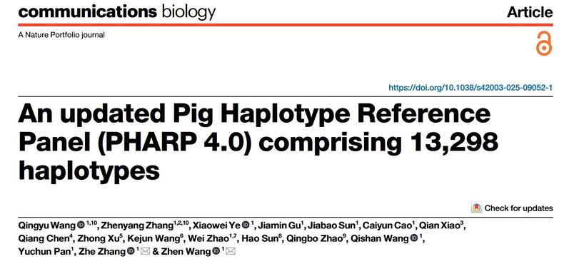 潘玉春/王振课题组在《Communications Biology》杂志发表论文——猪单倍体型参考面板PHARP 4.0
