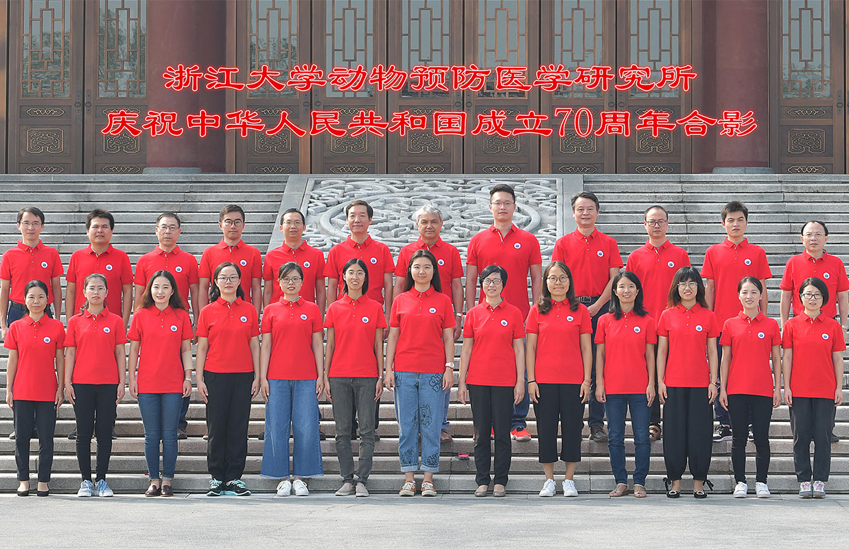 首页大图