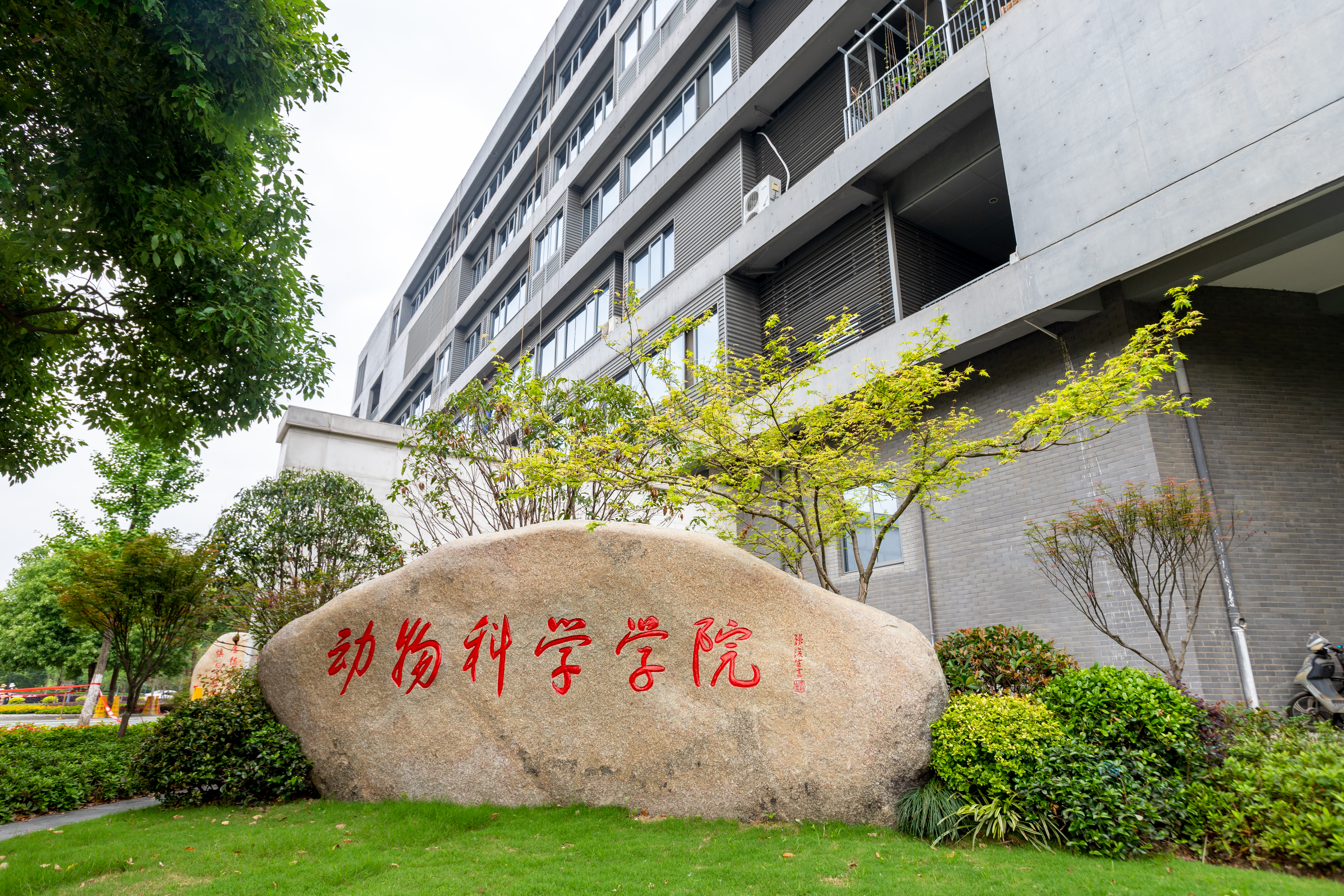 我院马燕飞博士入选2025年度“博新计划”