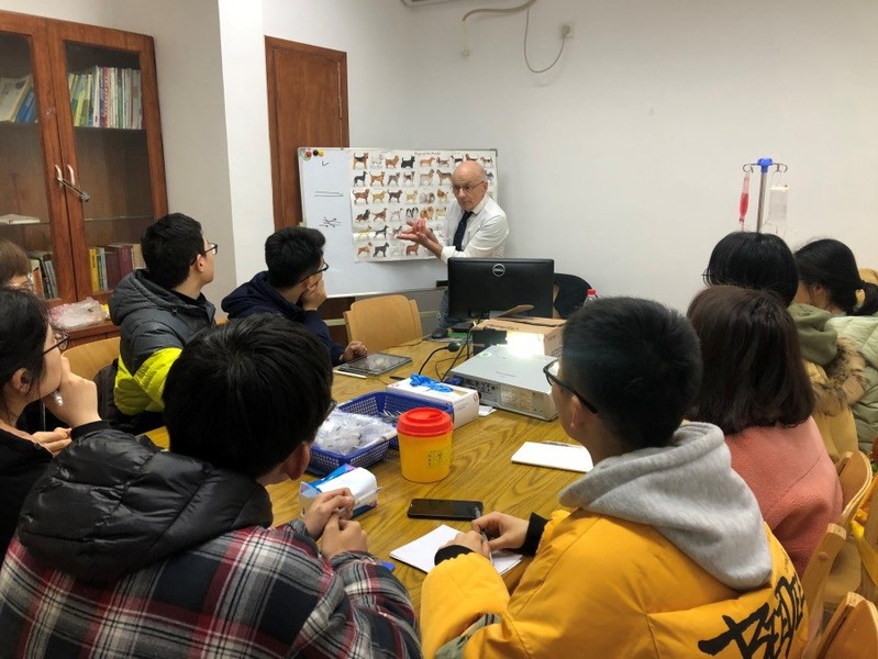 英国小动物外科专家Jason Kimm来我院交流访问