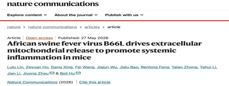 胡伯里研究员与周继勇教授团队合作连续在《Nature Communications》发表研究成果：揭示病毒调控线粒体质量控制介导免疫逃逸与炎症损伤的分子机制
