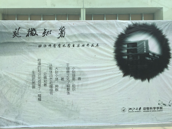 学院“见微知著”实验作品展在月牙楼展厅展出