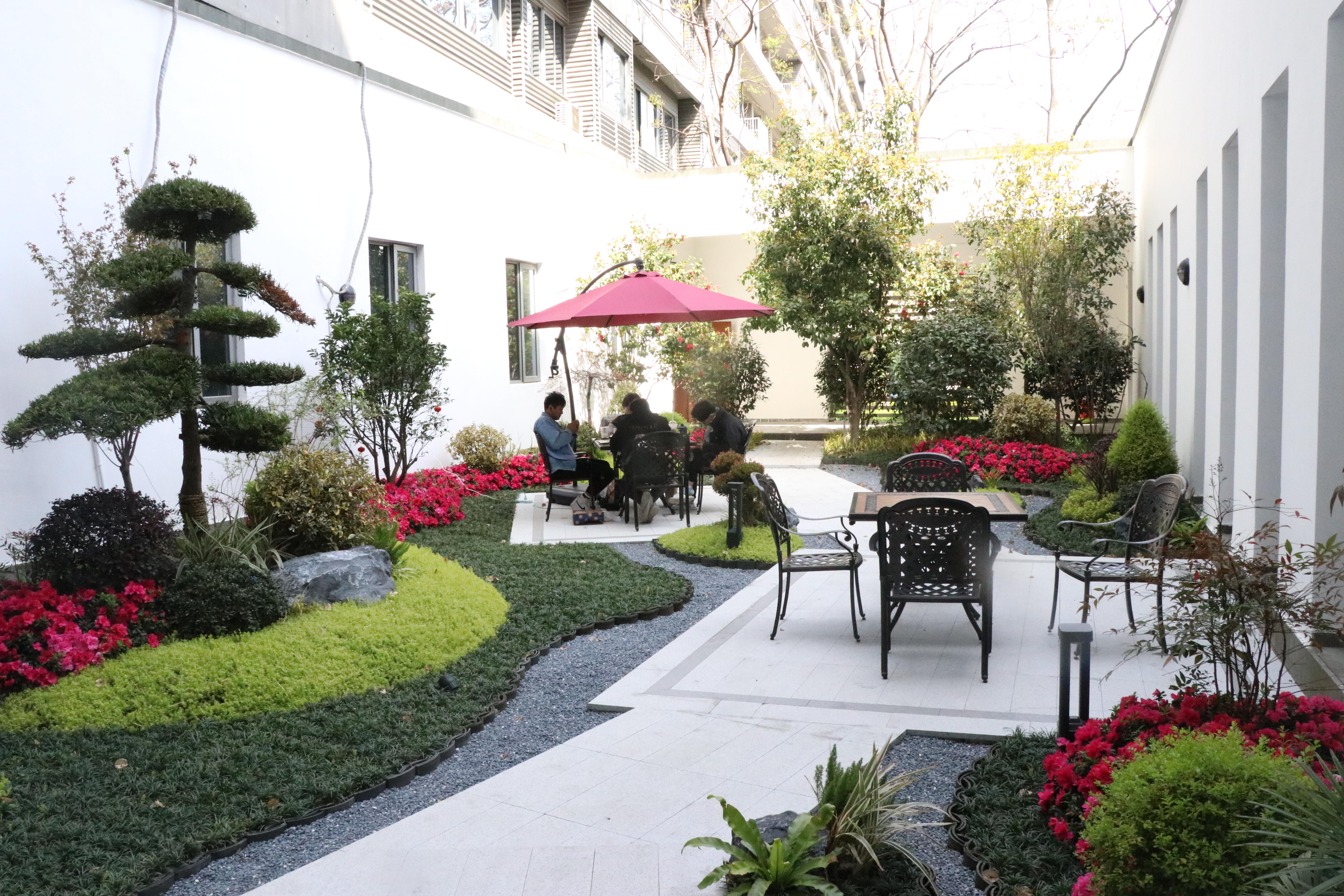 旧貌换新颜——动科院庭院改造项目圆满完成