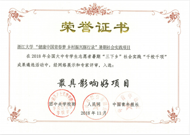 喜报！我院学子获2018年全国“三下乡”千校千项成果遴选最具影响好项目