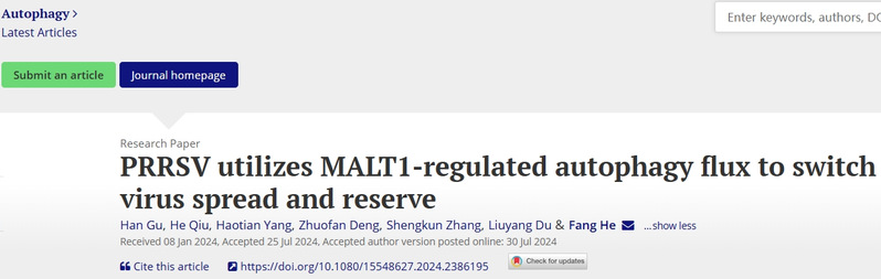 何放课题组在《Autophagy》、《Journal of Nanobiotechnology》发表系列论文揭示免疫抑制病毒PRRSV的新感染机制并提供新型纳米多肽防治策略