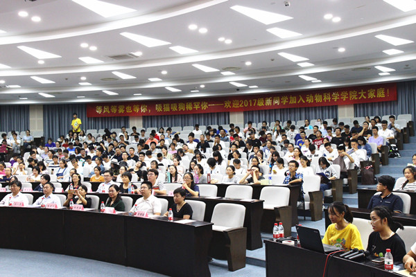 为你的梦想插上翅膀 ――记学院行业发展前景主题报告会