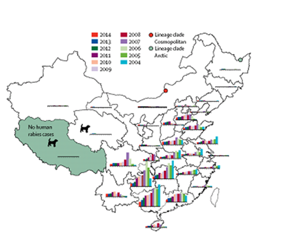 动物科学学院在《柳叶刀传染病》发文阐述中国农村地区狂犬病控制的“One Health”策略