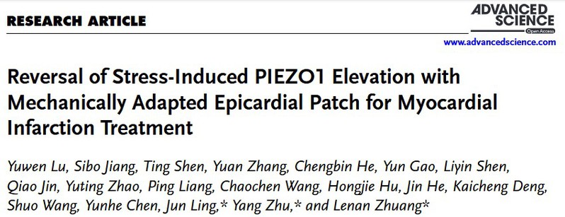 庄乐南研究员课题组在《Advanced Science》发文揭示心脏补片通过精细调控Piezo1治疗心肌梗死的分子机制